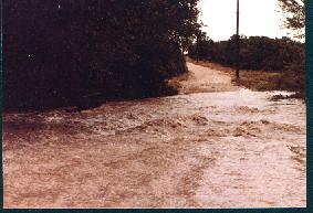 This is the road we  traveled to get to our house. We wisely didn't cross the heavily churning water.